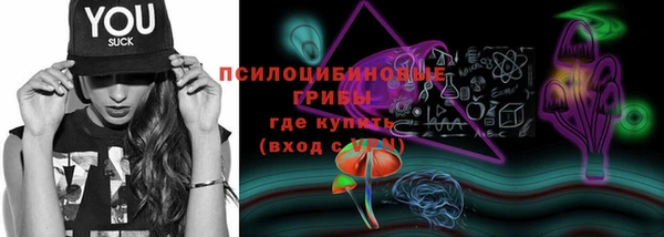 ALPHA-PVP Верхний Тагил