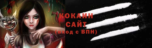 трава Бородино